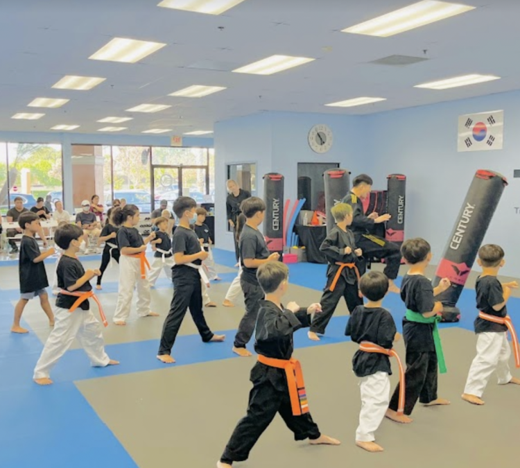tema-true-education-of-martial-arts-photo